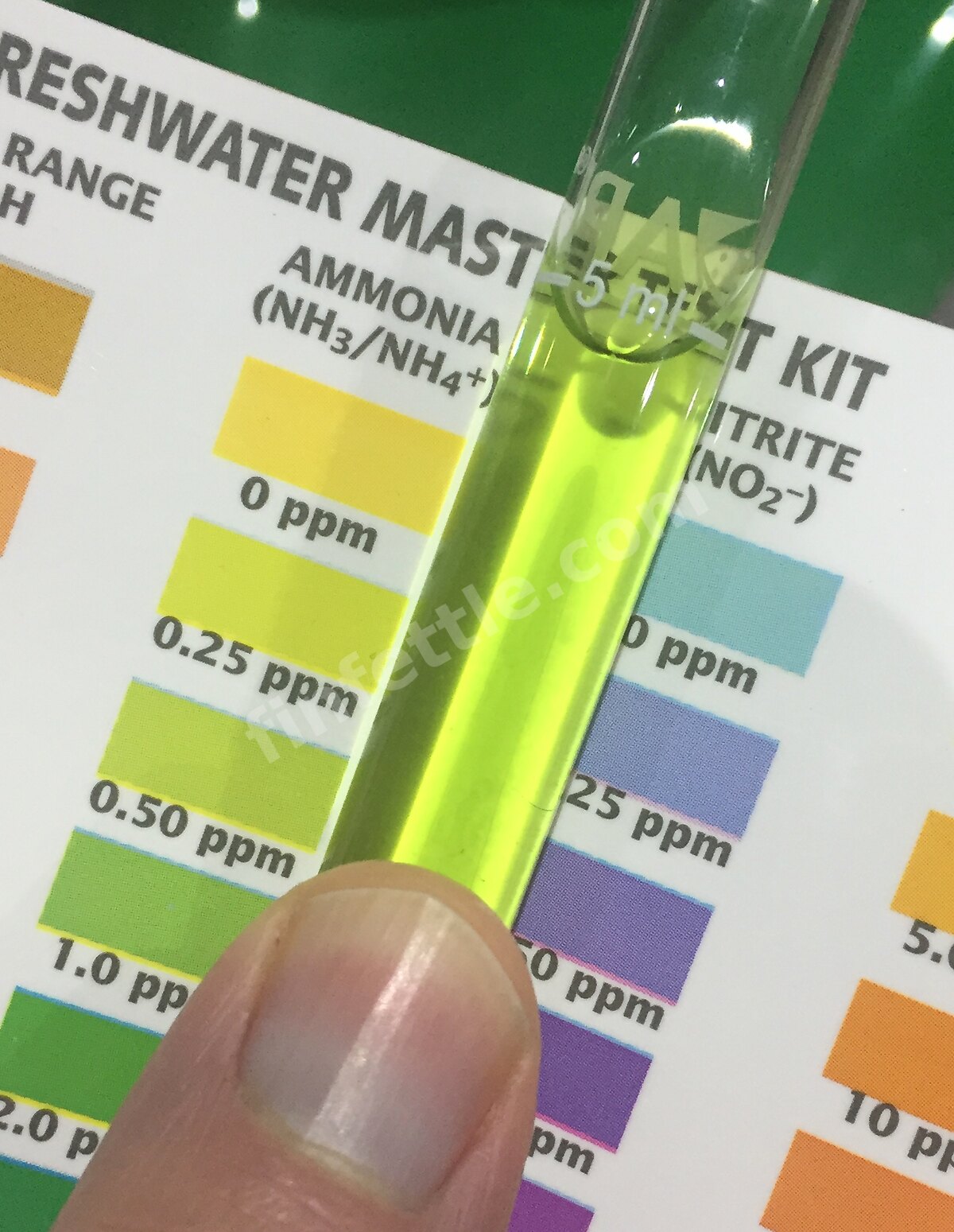 Liquid ammonia test tube held against the API colour chart, showing a low yellow-green result