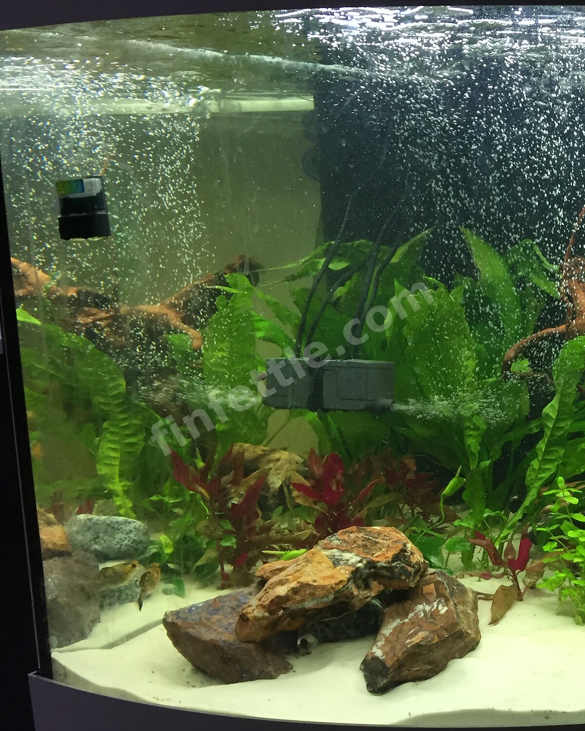 A small powerhead with a venturi air intake pushing a cloud of fine bubbles across an aquarium